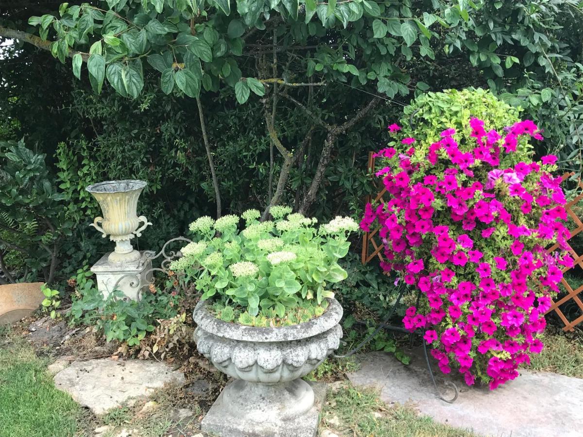 Villa Viktoria House Balatonszarszo Esterno foto