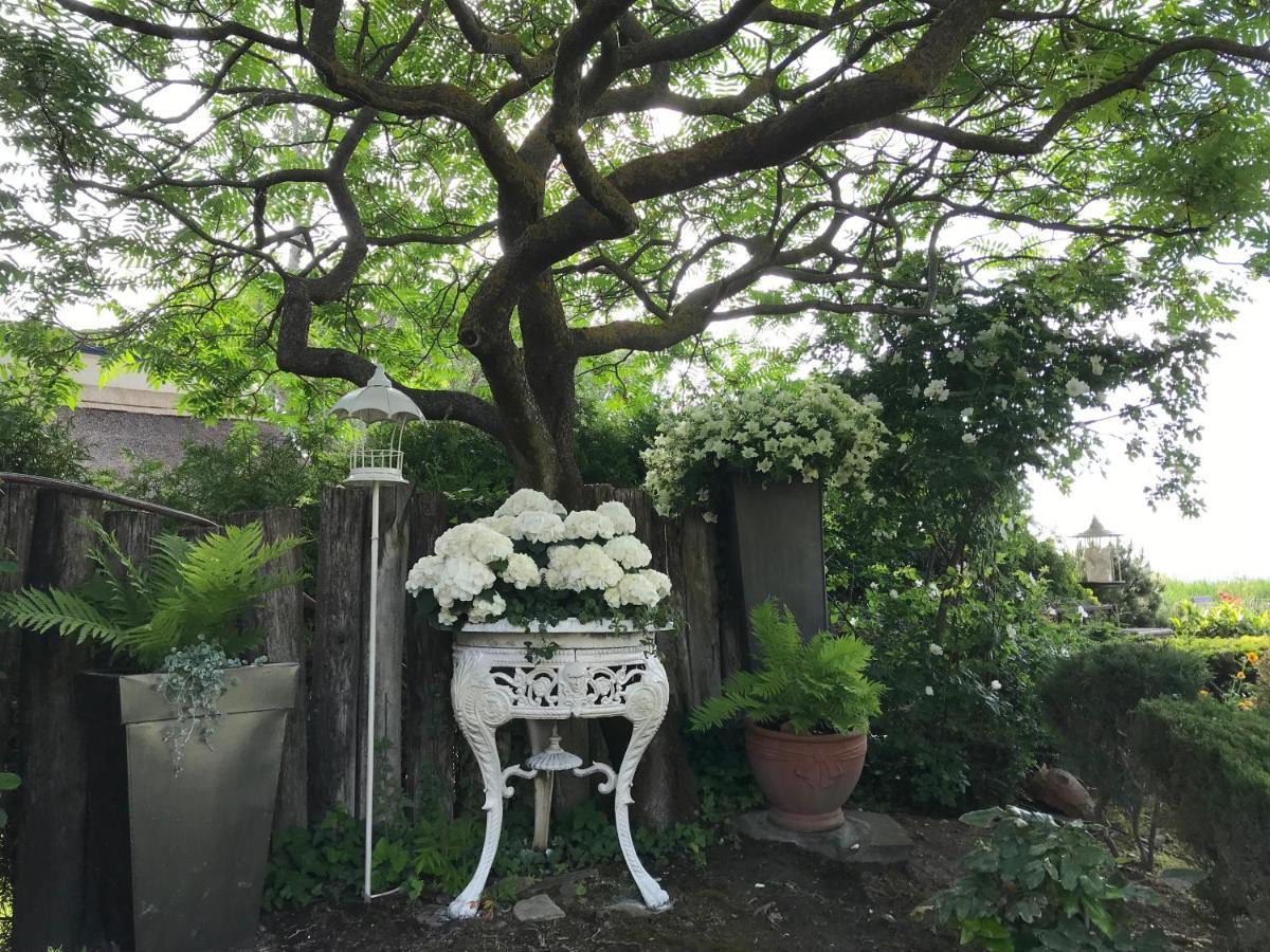 Villa Viktoria House Balatonszarszo Esterno foto